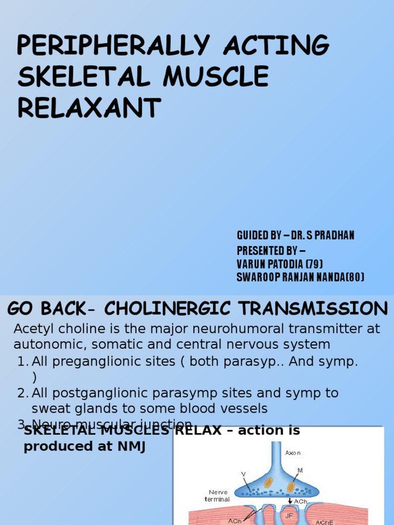 Skeletal Muscle Relaxant PDF Acetylcholine Neuromuscular Junction