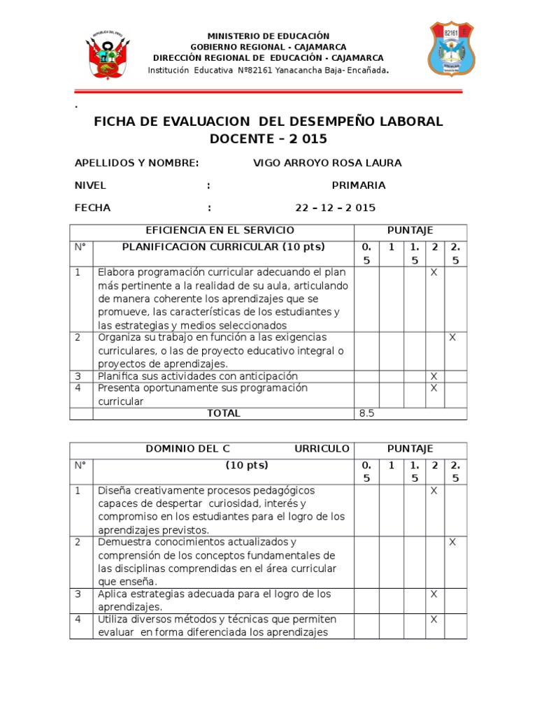 Ficha de Evaluacion Del Desempeño Laboral Docente | PDF | Ciencia ...