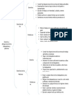 Derecho de Los Trabajadores Cuadro Sinoptico