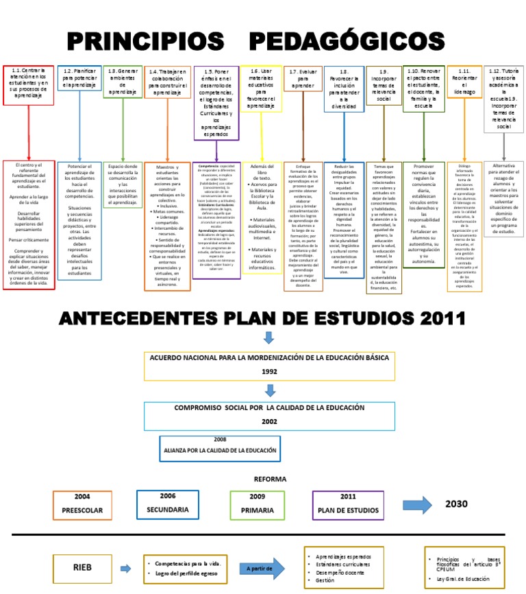 Principios Pedagógicos y Antecedentes Del Plan de Estudios