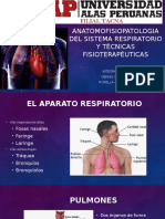 El Sistema Respiratorio