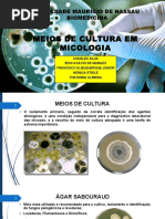 Meio de Cultura Em Micologia