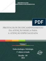 Protocolos AB Vol1 Endocrinologia Nefrologia PDF