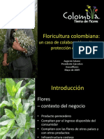 La Floricultura en Colombia PDF