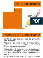 Sel Prokariotik and Eukariotik