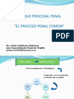 Proceso Penal Comun Uss 2013 II