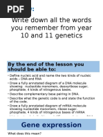 2 7 l1 structure of dna 2