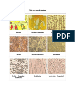 Microconstituintes do Aço.pdf