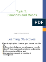 Topic 5 - Emotions Moods