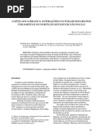 Afonso, m. c. & Moraes, c. a. 2005-2006 o Sítio á Gua Branca Interações Culturais Dos Grupos