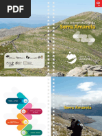 Trilho Serra Amarela Cat v6