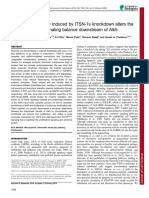 Endocytic Deficiency Induced by ITSN-1s Knockdown Alters The Smad2/3-Erk1/2 Signaling Balance Downstream of Alk5