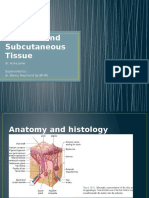 The Skin and Subcutaneous Tissue Simple2