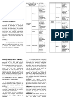 Ciclo de Vida Documento