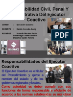 Responsabilidad Civil Penal Y Administrativa Del Ejecutor DIAPOSITIBAS