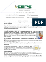 Electromagnetismo y Motores - Odt