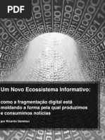 New Info Environment Portuguese Link