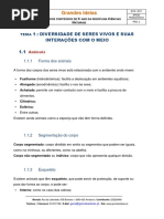 Grandes Ideias Resumo 5 CN