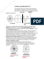 Mineralogia y Petrografia