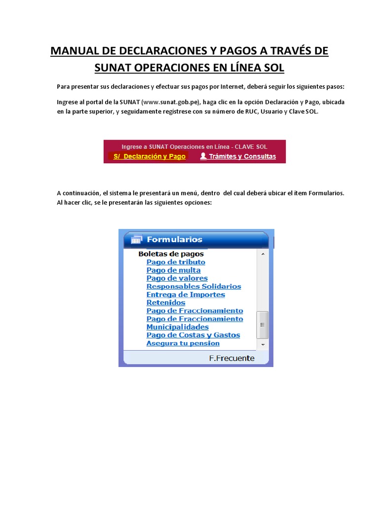 Manual de Declaraciones y Pagos PDF | PDF | Visa Inc. | Tarjeta de débito