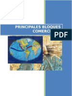 89902693-PRINCIPALES-BLOQUES-COMERCIALES.docx