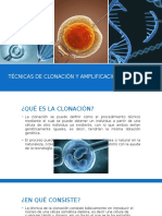 Técnicas de Clonación y Amplificación Del ADN