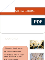 Anestesia caudal