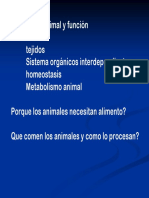 nutricion y digestion.pdf