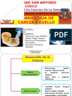 Embriologia de Cabeza y Cuello