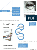 Entropión oftalmo