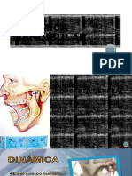 Dinámica Mandibular