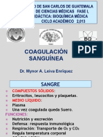 Coagulación Sanguinea