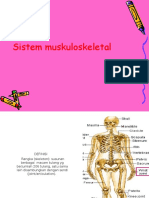 Sistem Muskuloskeletal