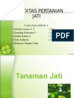 Jati Kel.4