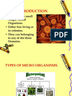 Branches & Clasification of Microbiology