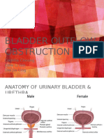 BLadder Outlet Obstruction