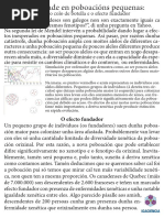 As Laranxas Mais Laranxas De Todas As Laranxas
