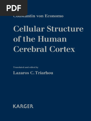 Cellular Structure Of The Human Cerebral Cortex 2009 Insular