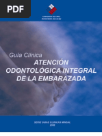 Download Salud Oral Embarazadas Minsal by Veronica Carrasco Mansilla SN32997431 doc pdf