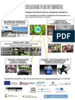 Técnicas sostenibles acuaponía producir alimentos orgánicos