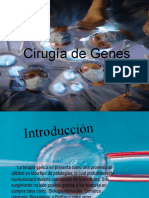 Cirugía de genes