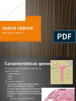 Histo Cervix