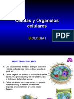 Células y Organelos Celulares