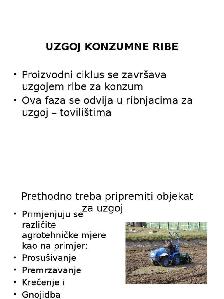 Uzgoj Konzumne Ribe | PDF