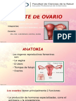 Quistes Ováricos: Causas, Síntomas y Tratamiento