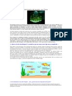 La filtración y el mantenimiento del acuario.docx