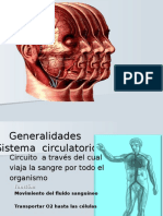 Generalidades de Sistema Circulatorio, Arterias y Venas de La Cabeza