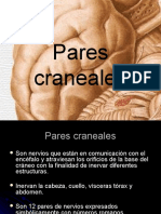 Pares Craneales (1)