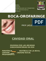Boca-Orofaringe Prof. JZerpa.- (1)
