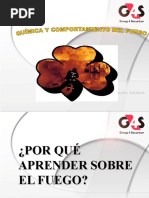 Quimica y Comportamiento Del Fuego